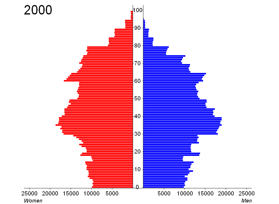 SILO Visualization example: Age pyramid